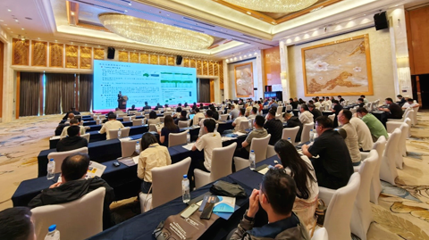 Tin Forum 2025