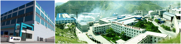 Yulin Tianlong Magnesium Industry Co., Ltd.