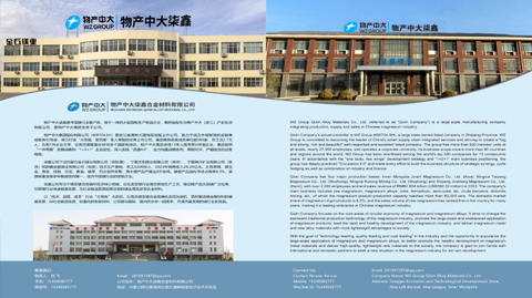 12th Magnesium Summit
