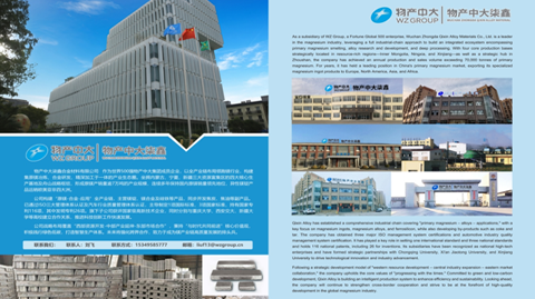13th Magnesium Summit