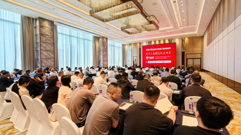 13th Magnesium Summit