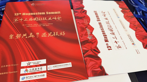 13th Magnesium Summit