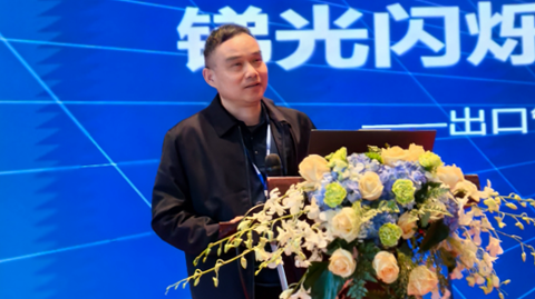11th Antimony Forum
