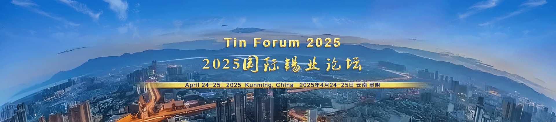 2025国际锡业论坛